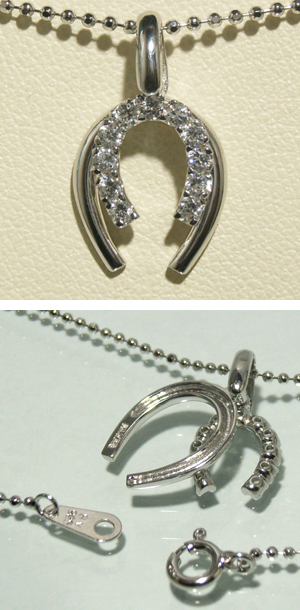 fn-tp3270-chain