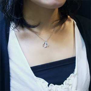 fn-tp3270-chain