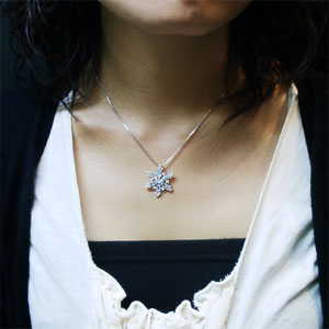 fj-t023-chain